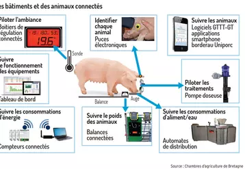 Un élevage connecté à station expérimentale porcine de Crécom