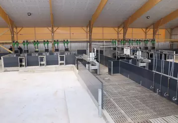 Le bâtiment d'engraissement bio est composé de six cases de 200 places. Un espace comprenant six selfifeeder GFI est dédié  à l'alimentation individuelle des porcs charcutiers.