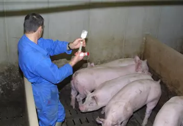 L’Anses confirme la baisse de l’exposition des animaux d’élevage aux antibiotiques