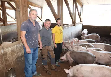 André, Jean-Luc et Mathieu Nicolas engraissent chaque année 400 porcs qu’ils transforment et valorisent en vente directe.