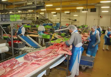 <em class="placeholder">abattoir découpe fipso</em>