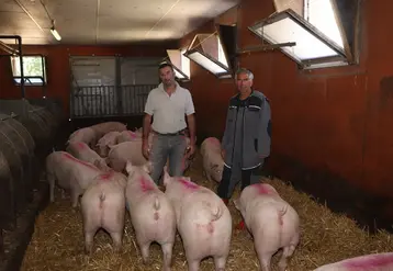 <em class="placeholder">Stéphane Monfort, SCEA Porc Lanvaux (à gauche) et Loïc Havez, Danbred, adaptent l&#039;alimentation des cochettes pour augmenter la longévité des truies.</em>