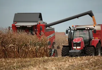 <em class="placeholder">Récolte moisson maïs. Moissonneuse Massey Ferguson 5 secoueurs / Récolte maïs grain 2011. Equipement. Machinisme agricole. Remplissage de la remorque du tracteur. Grains</em>