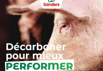 porc sanders 