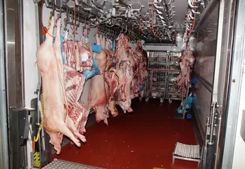 <em class="placeholder">carcasses porc découpe transformation</em>