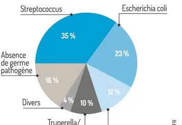 <em class="placeholder">Graphique = Une majorité de germes d’environnementPart des bactéries isolées lors d’arthrites de porcelets sous la mère de 2014 à 2024</em>