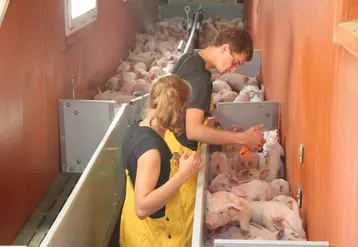 <em class="placeholder">Pour des porcs élevés dans des élevages fermés, la vaccination contre la FPA ne se justifie pas.</em>