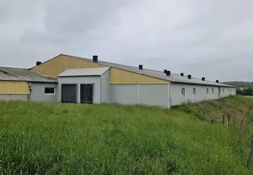 <em class="placeholder">Coupler l’installation d’un « cooling » avec une bande enherbée devant les entrées d’air peut être une solution intéressante pour refroidir l’air entrant.</em>
