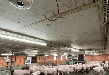 <em class="placeholder">Les caméras installées en élevages pourraient permettre de calculer le niveau d&#039;activité quotidien de chaque animal afin d&#039;ajuster pus précisément les rations ...</em>