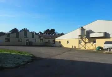 <em class="placeholder">Les problèmes liés à la chaleur ne relèvent pas uniquement de la ventilation, mais parfois d’erreurs structurelles </em>
