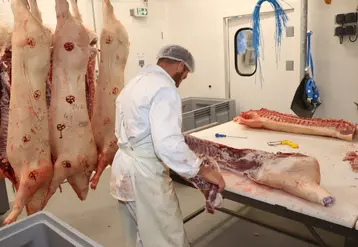 <em class="placeholder">Les petits abattoirs de proximité sont essentiel pour assurer la pérennité des élevages qui transforment et commercialisent leurs animaux en circuit court.</em>