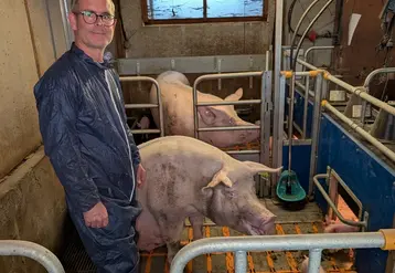 <em class="placeholder">MAternité libertée pour les truies</em>