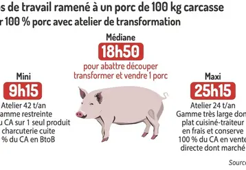 <em class="placeholder">temps de travail ramené à un porc de 100 kg de carcasse. </em>