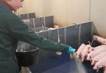 <em class="placeholder">La qualité des lisiers et de l'ambiance s'améliore avec Biosuper</em>