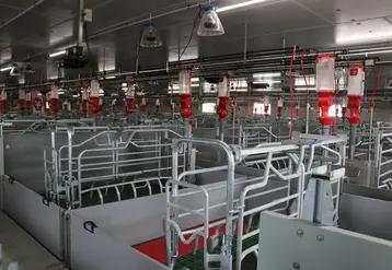 <em class="placeholder">La clé de réussite est de bien anticiper et planifier les différentes étapes d’un dépeuplement-repeuplement, avec un arrêt de production de neuf semaines au minimum.</em>