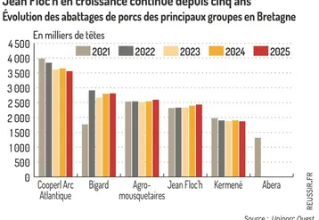 <em class="placeholder">Graphique = Jean Floch en croissance continue depuis cinq ansÉvolution des abattages de porcs des principaux groupes en Bretagne</em>