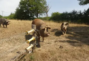 <em class="placeholder">Les quatre scénarios illustrent l’incertitude qui entoure l’avenir de l’agriculture biologique, entre marginalisation et potentiel développement.</em>