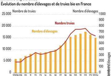 <em class="placeholder">Graphique = Après une phase de croissance, le nombre de truies biodiminue depuis 2023Évolution du nombre d'élevages et de truies bio en France</em>