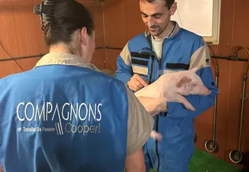 <em class="placeholder">Un quart des 26 installations accompagnées par la Cooperl en moyenne tous les ans se font hors cadre familial</em>