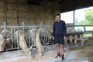 Guillaume Cognat devant ses bovins