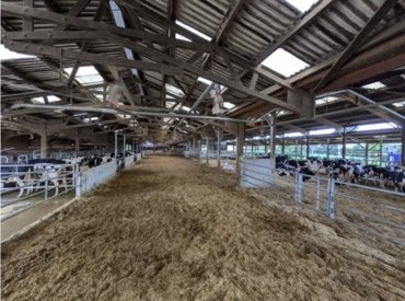 Aire paillée de 1 200 m²