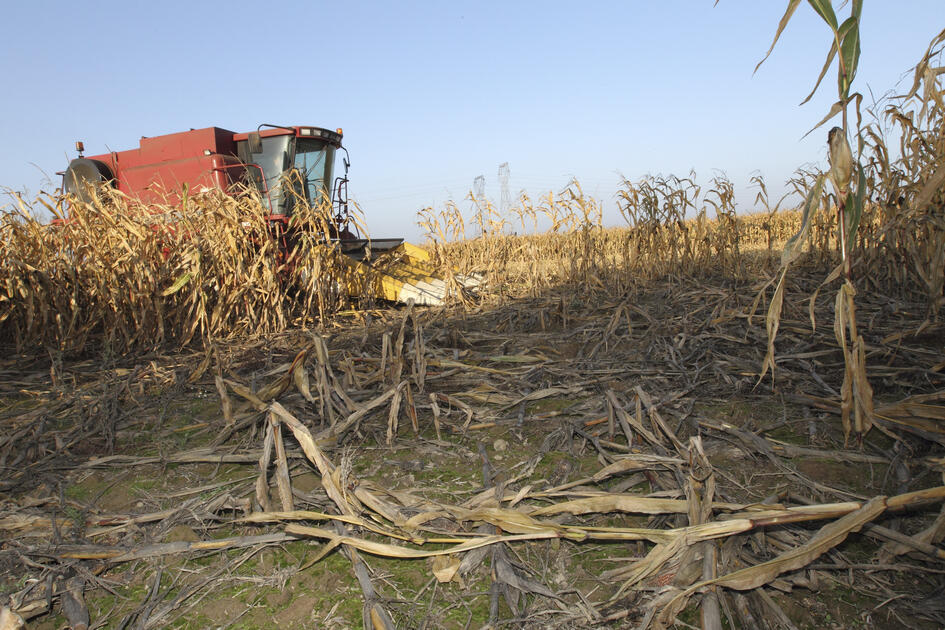 Dégâts De Gibier : Que Contient L'accord Qu'agriculteurs Et Chasseurs