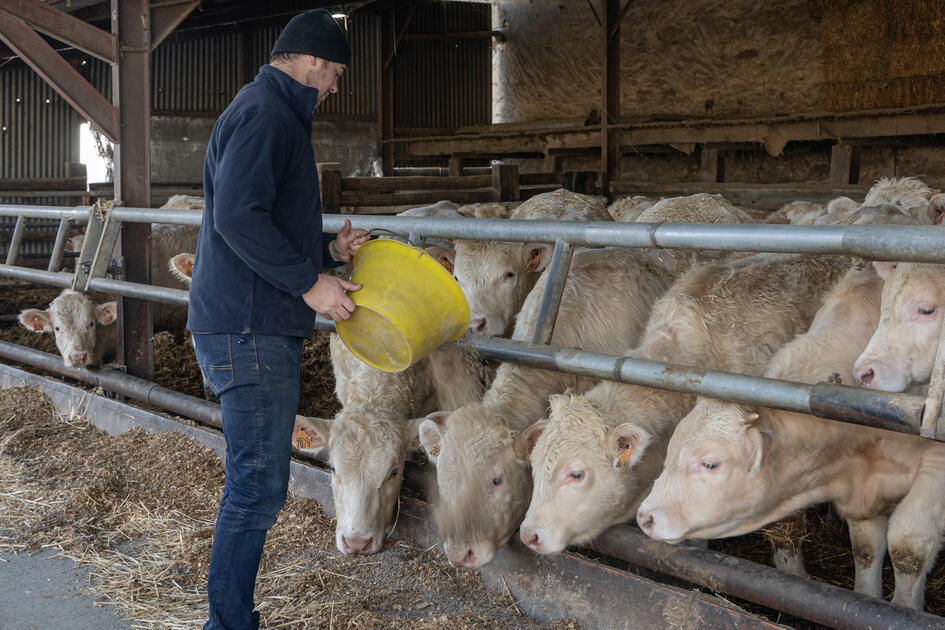 Installation Sanders lance un nouveau « Plan d’aides pour l’élevage