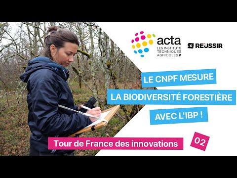 Contenu partenaire | VIDEO - Pourquoi le CNPF a développé l’IBP, un ...