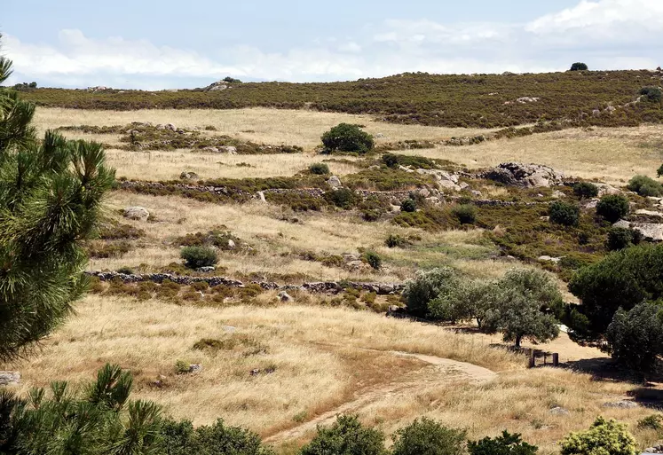 terres agricoles