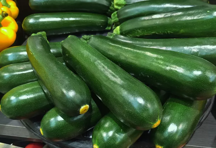 Plusieurs courgettes