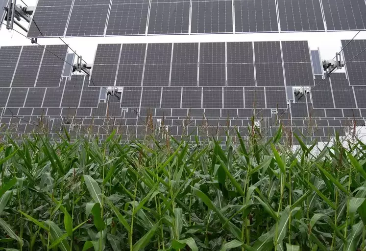 Canopée agrivoltaïque installée à Brouchy dans la Somme sur 3 hectares de grandes cultures par TSE.