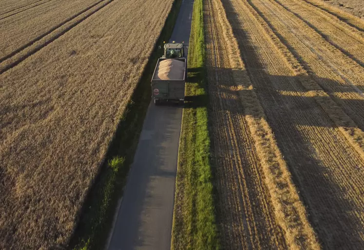 Tracteur avec une benne sur une route au milieu des champs pendant la moisson.