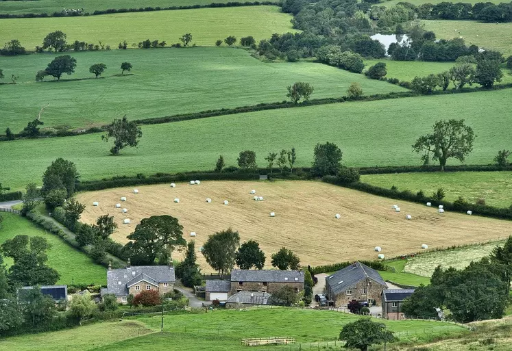 Paysage agricole