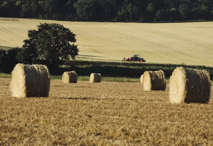 Paysage agricole avec bottes de paille