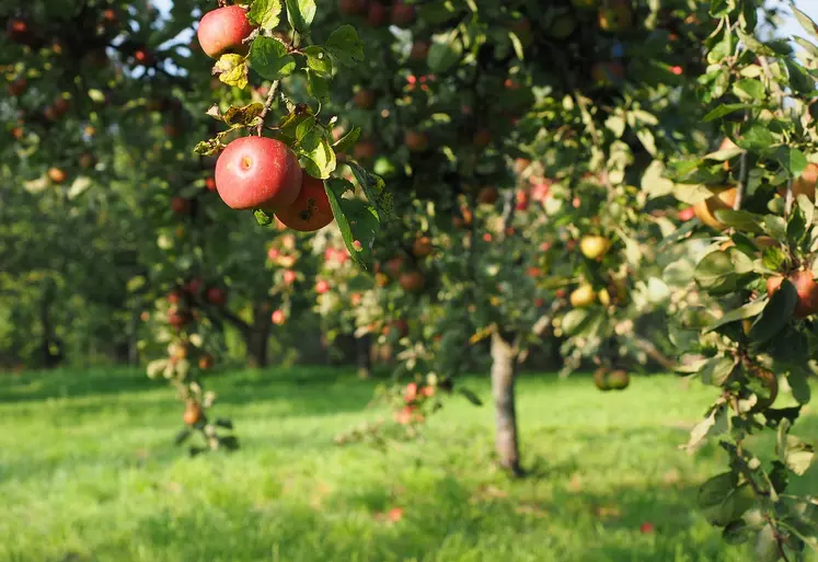 soutien agricole appel à projets val d'oise appels à projet