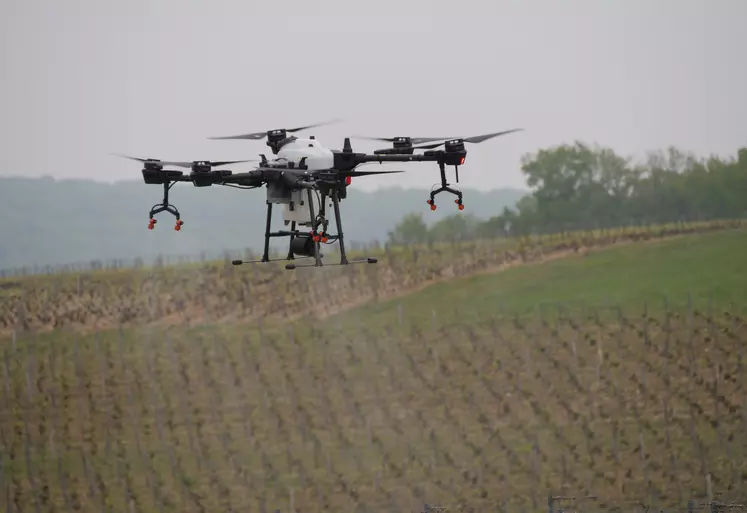 drone dans un champ de vignes