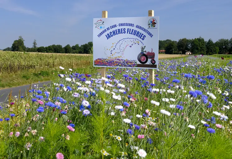 Fleurissement des bords de route 