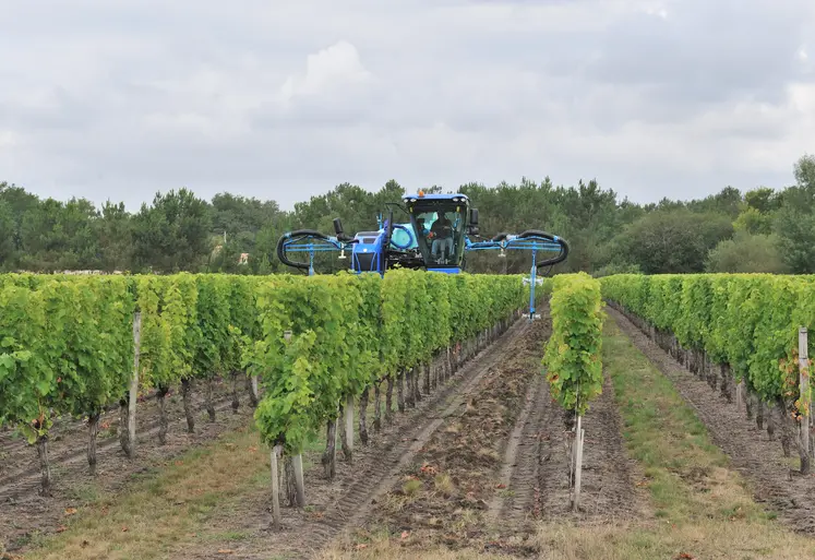 traitements champ de vigne