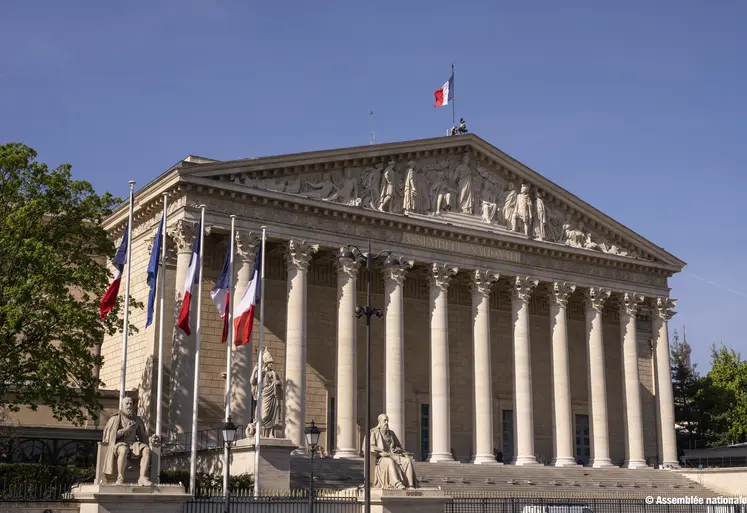 Colonnade de l'Assemblée Nationale. On y voit des drapeaux français. 