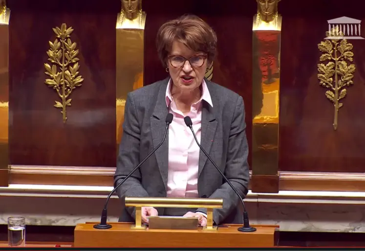 Annie Genevard à l'Assemblée nationale