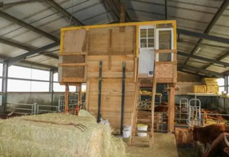 Local d’infirmerie en bois, suspendu en bout du couloir d’alimentation, dans le bâtiment d'élevage.