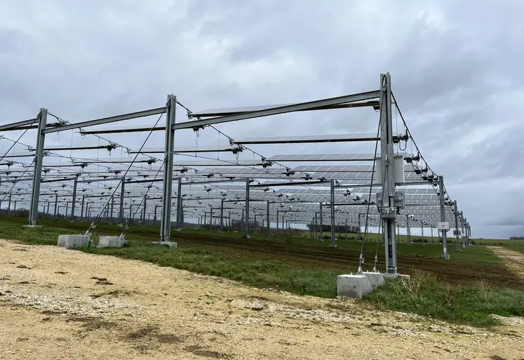 Parcelle grandes cultures en agrivoltaïsme avce des panneaux solaires