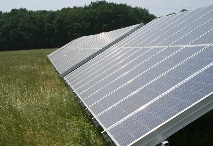 Panneaux photovoltaïques au sol