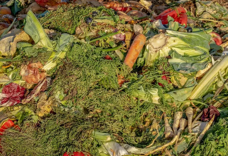 différents légumes abimés