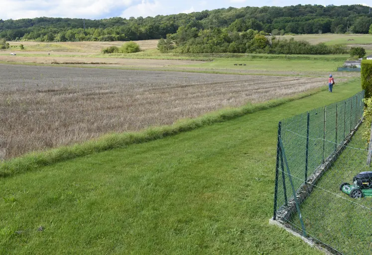 Bande enherbée en zone de non traitement, à proximité d'habitations le long d'un champ de blé. 