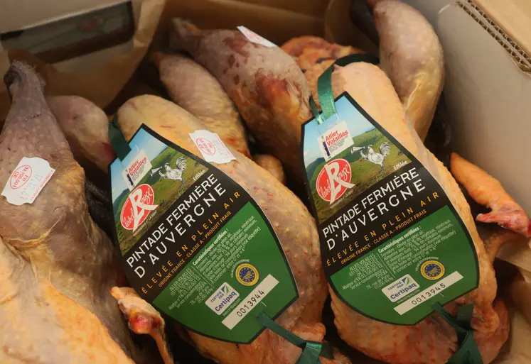 poulets label rouge dans un carton