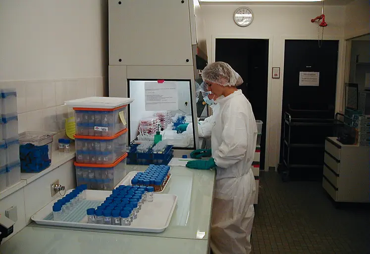 Personne réalisant un test rapide de détection de l'ESB en laboratoire