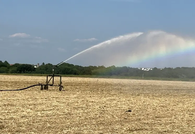 En période de sécheresse irrigation pour favoriser la levée du maïs