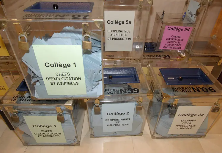 urnes contenant les bulletins de vote des différents collèges avant le dépouillement pour une élection en chambre d'agriculture. 