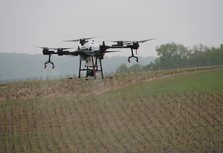 drone au dessus d'un vignoble